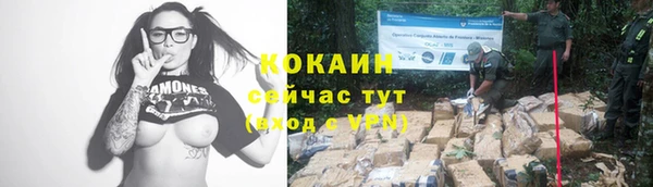 mdpv Дмитриев