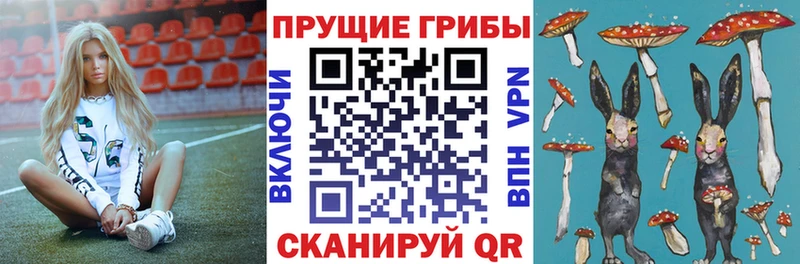 Галлюциногенные грибы Magic Shrooms  Купить где  Ковылкино 