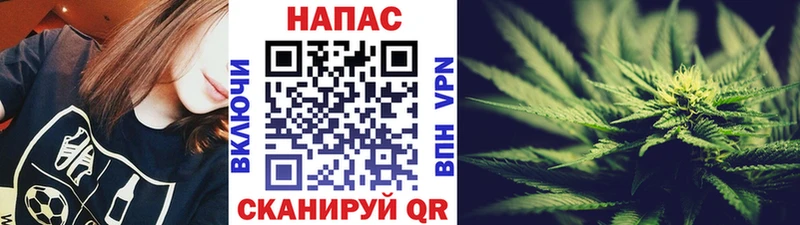 Бошки Шишки Bruce Banner  Купить закладки  Ковылкино 
